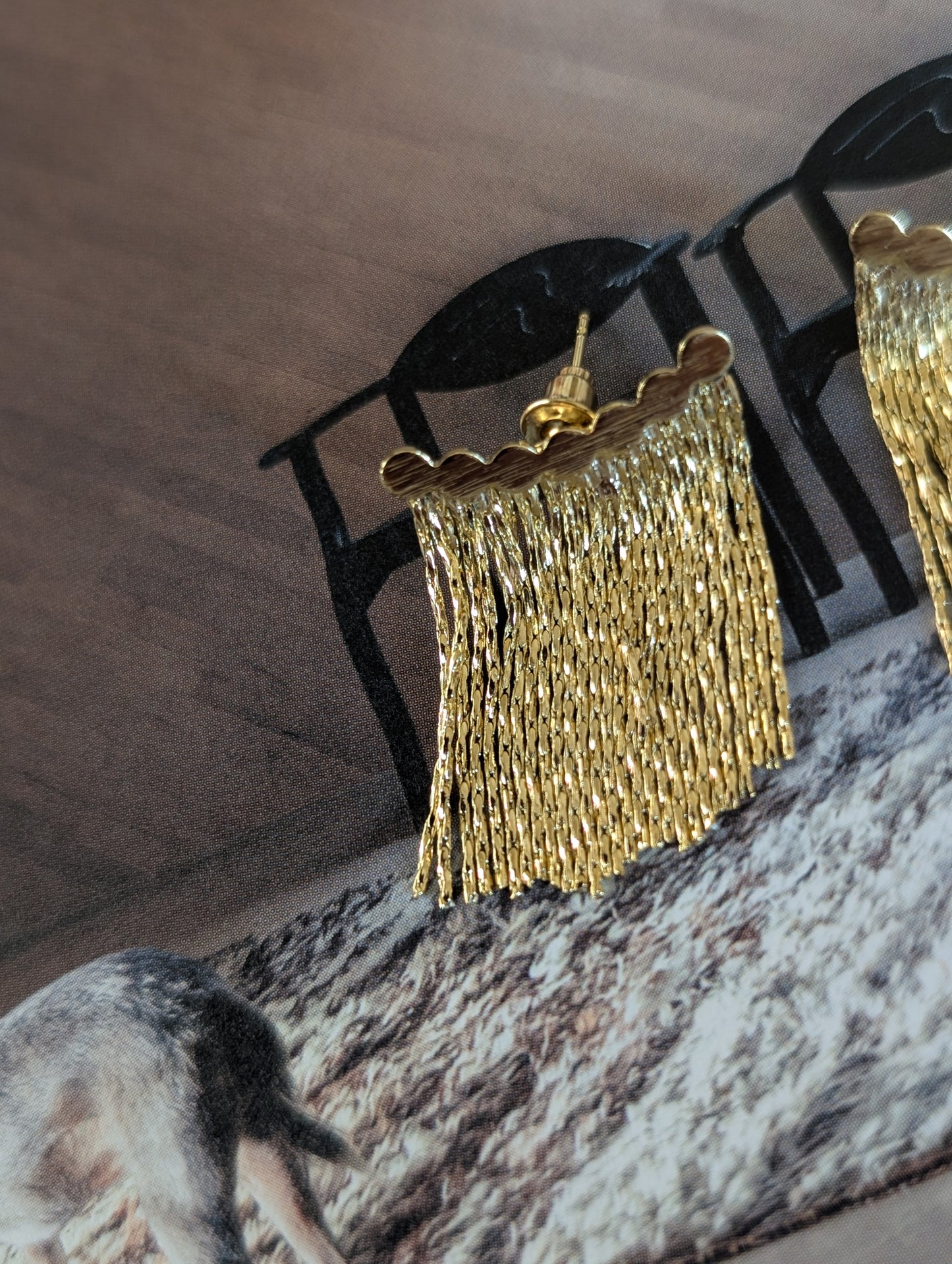 Filomena Fringe Earrings